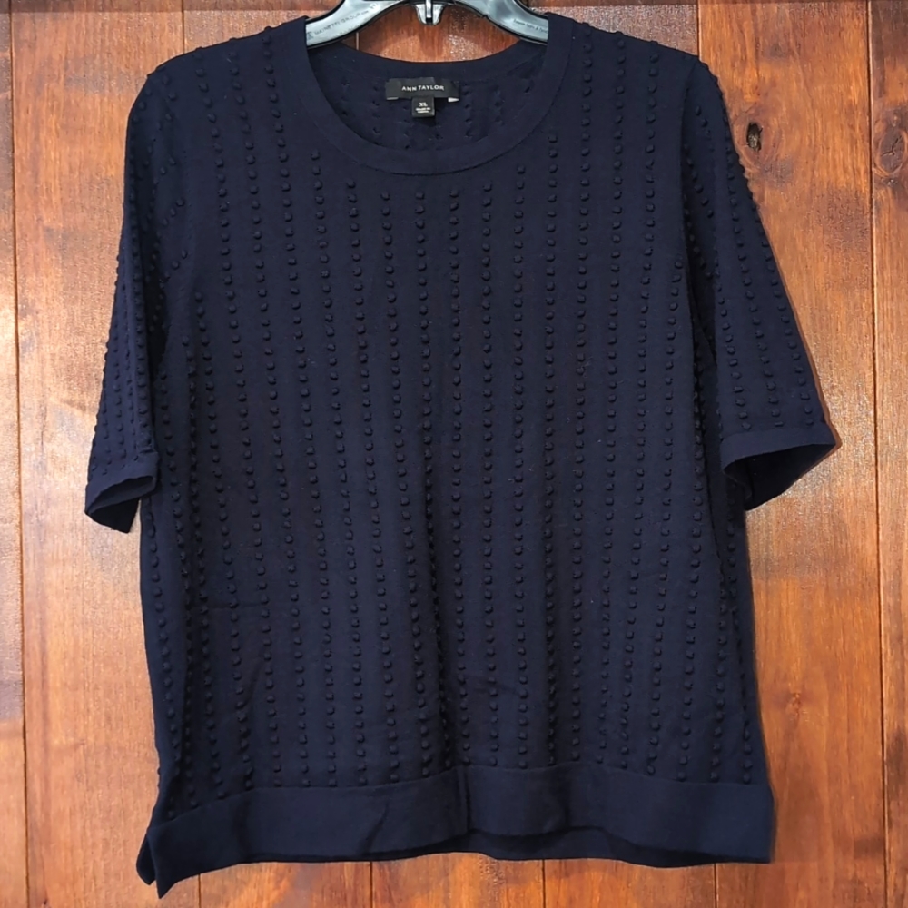 Ann Taylor sweater